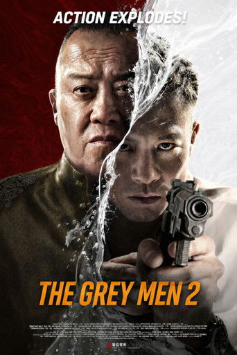 The Grey Men 2 (2025) Hindi Dubbed AMZN